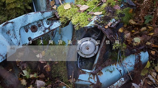 9天网贷逾期上征信吗 9天网贷逾期上征信吗