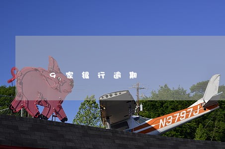 9家银行逾期 9家银行逾期