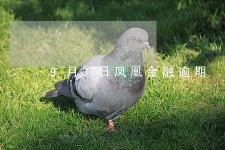 9月3日凤凰金融逾期 9月3日凤凰金融逾期