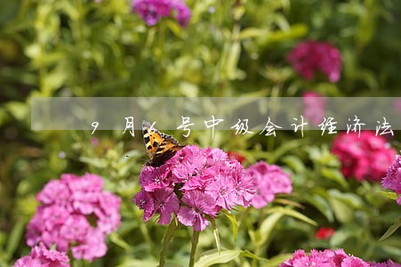 9月6号中级会计经济法