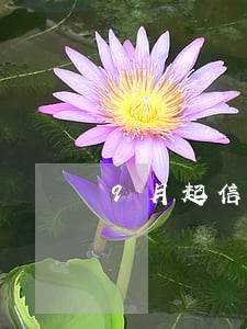 9月起信用卡逾期