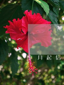 9月起信用卡逾期新规定 9月起信用卡逾期新规定