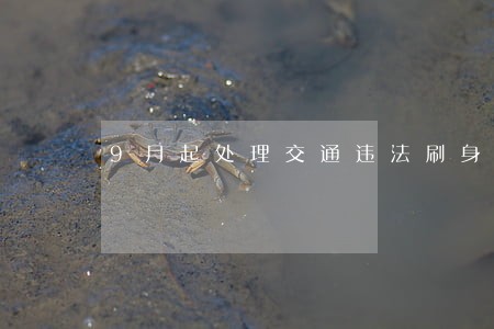 9月起处理交通违法刷身份证 9月起处理交通违法刷身份证