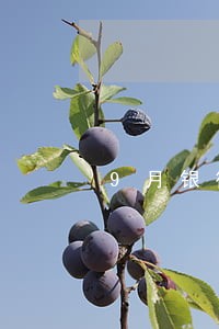 9月银行信用卡逾期 9月银行信用卡逾期