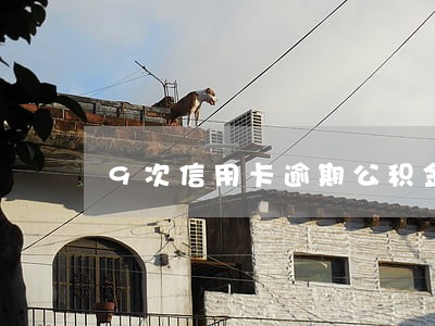 9次信用卡逾期公积金 9次信用卡逾期公积金