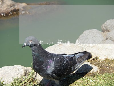 9次小额逾期 9次小额逾期
