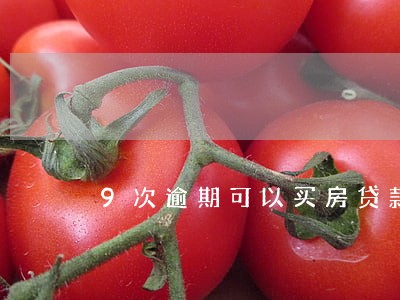 9次逾期可以买房贷款吗 9次逾期可以买房贷款吗