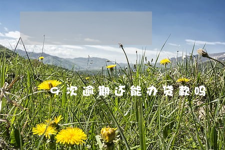 9次逾期还能办贷款吗 9次逾期还能办贷款吗