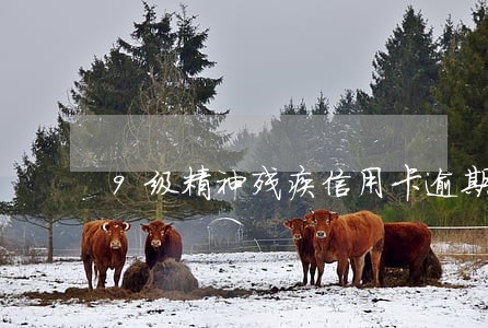 9级精神残疾信用卡逾期怎么办 9级精神残疾信用卡逾期怎么办