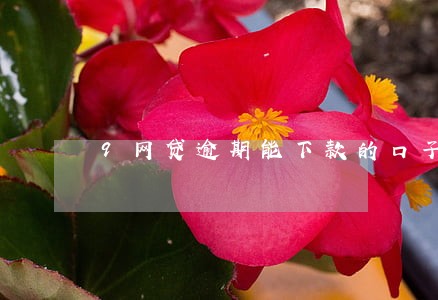 9网贷逾期能下款的口子