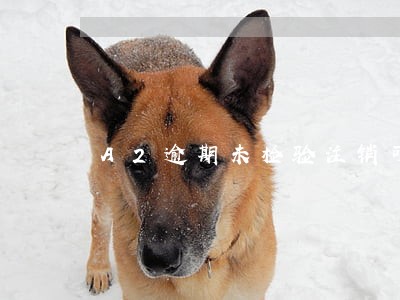 A2逾期未检验注销可恢复 A2逾期未检验注销可恢复
