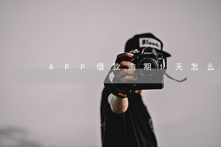 APP借款逾期1天怎么办 APP借款逾期1天怎么办