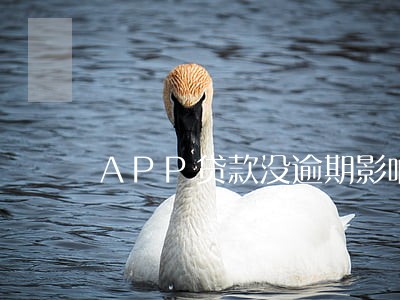 APP贷款没逾期影响征信吗 APP贷款没逾期影响征信吗