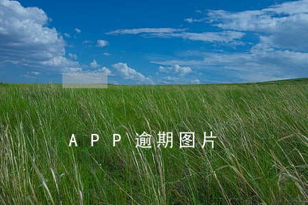 APP逾期图片 APP逾期图片