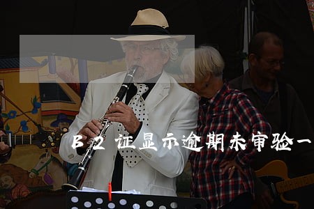 B2证显示逾期未审验一年多了 B2证显示逾期未审验一年多了