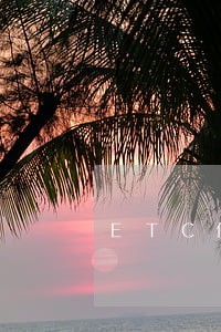 ETC信用卡逾期中行 ETC信用卡逾期中行