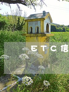 ETC信用卡逾期了怎么办 ETC信用卡逾期了怎么办