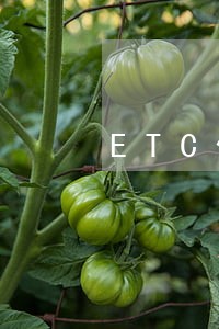 ETC信用卡逾期还款会导致啥 ETC信用卡逾期还款会导致啥