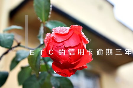 ETC的信用卡逾期三年 ETC的信用卡逾期三年