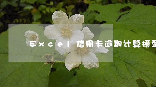 Excel信用卡逾期计算模型 Excel信用卡逾期计算模型