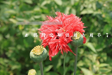 E招待逾期信用卡用不了 E招待逾期信用卡用不了