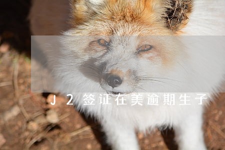 J2签证在美逾期生子 J2签证在美逾期生子