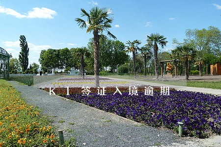 K1签证入境逾期 K1签证入境逾期