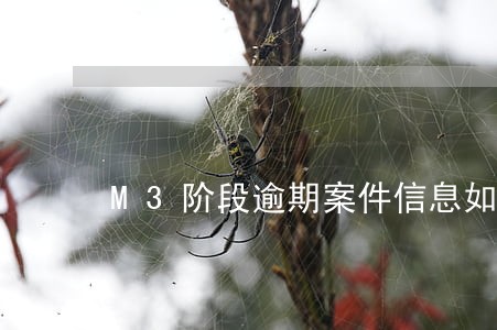 M3阶段逾期案件信息如何更新 M3阶段逾期案件信息如何更新