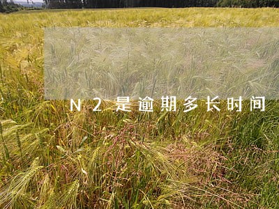 N2是逾期多长时间 N2是逾期多长时间