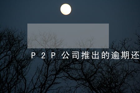 P2P公司推出的逾期还款计划 P2P公司推出的逾期还款计划