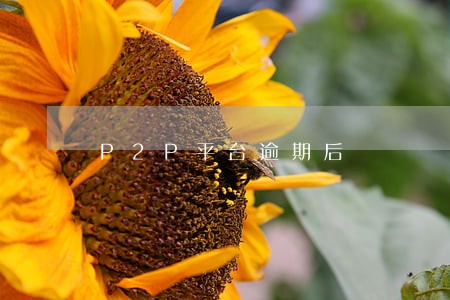 P2P平台逾期后 P2P平台逾期后