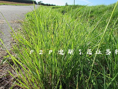 P2P逾期了还让签转让合同 P2P逾期了还让签转让合同