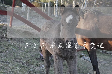 P2P逾期报案不受理 P2P逾期报案不受理