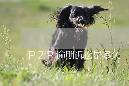 P2P逾期诉讼是多久