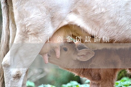 PSL资金贷款逾期 PSL资金贷款逾期