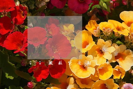 QQ微粒贷逾期2年 QQ微粒贷逾期2年