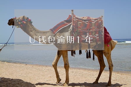 U钱包逾期1年