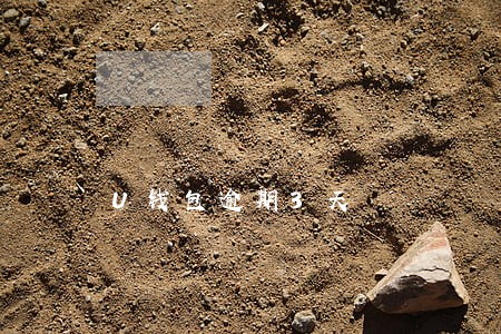 U钱包逾期3天 U钱包逾期3天