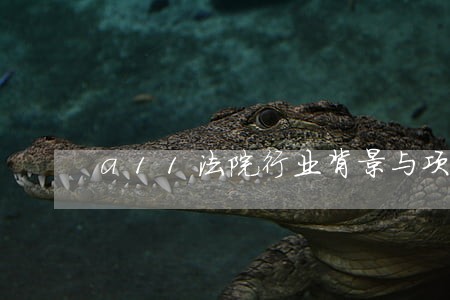 a11法院行业背景与项目场景 a11法院行业背景与项目场景