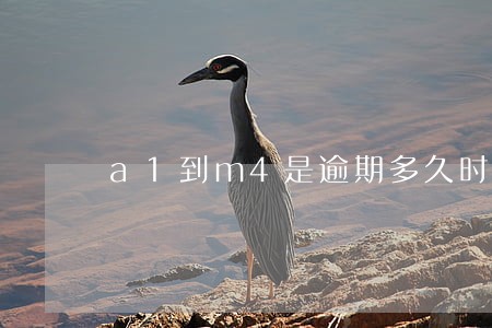 a1到m4是逾期多久时间 a1到m4是逾期多久时间