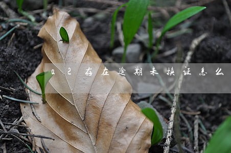 a2存在逾期未换证怎么办理 a2存在逾期未换证怎么办理