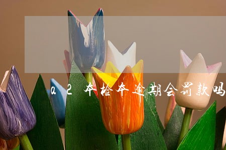 a2本检本逾期会罚款吗 a2本检本逾期会罚款吗