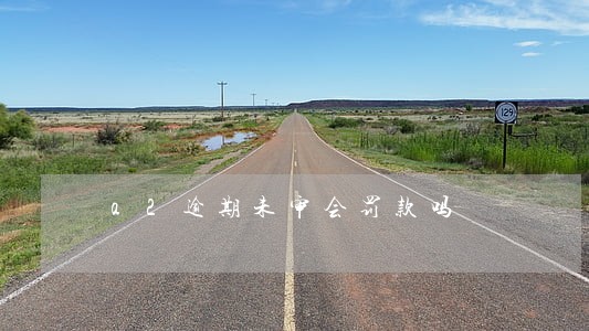 a2逾期未审会罚款吗 a2逾期未审会罚款吗