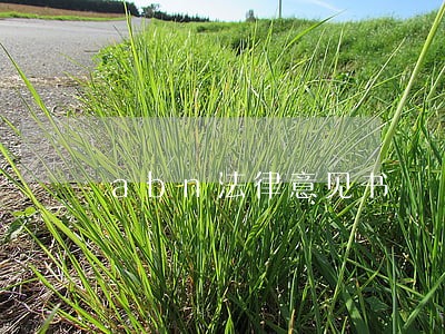 abn法律意见书 abn法律意见书