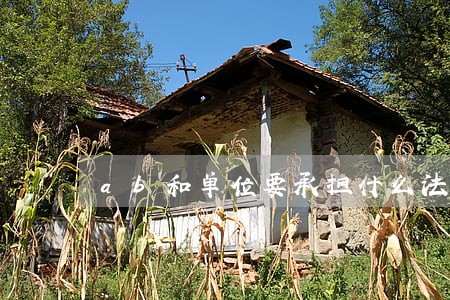 ab和单位要承担什么法律后果 ab和单位要承担什么法律后果
