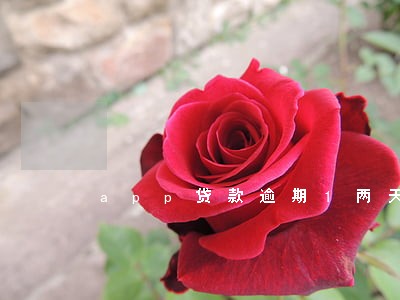app贷款逾期1两天 app贷款逾期1两天