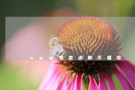 app贷款逾期不催收 app贷款逾期不催收