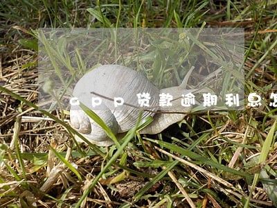app贷款逾期利息怎么算