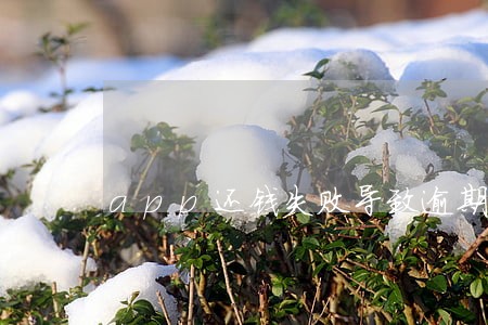 app还钱失败导致逾期6 app还钱失败导致逾期6
