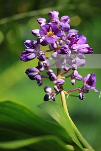 archiveof花伶刑法 archiveof花伶刑法